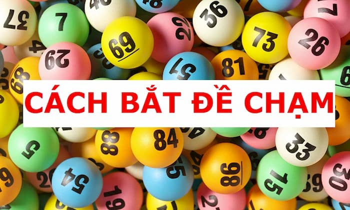 bat-de-cham-de-nuoi-5-ngay-rat-don-gian-4