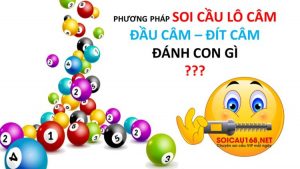 Phương pháp soi cầu lô câm - Đầu, đít câm đánh con gì?